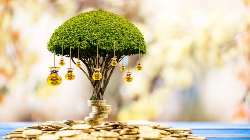 【実話】私の「お金のブロック」が壊れた日。― そしてなぜか、奇跡が立て続けに起きた話 ―