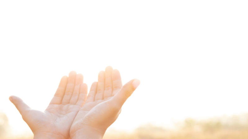 レイキとは?日本伝統式レイキの魅力と講座ガイド